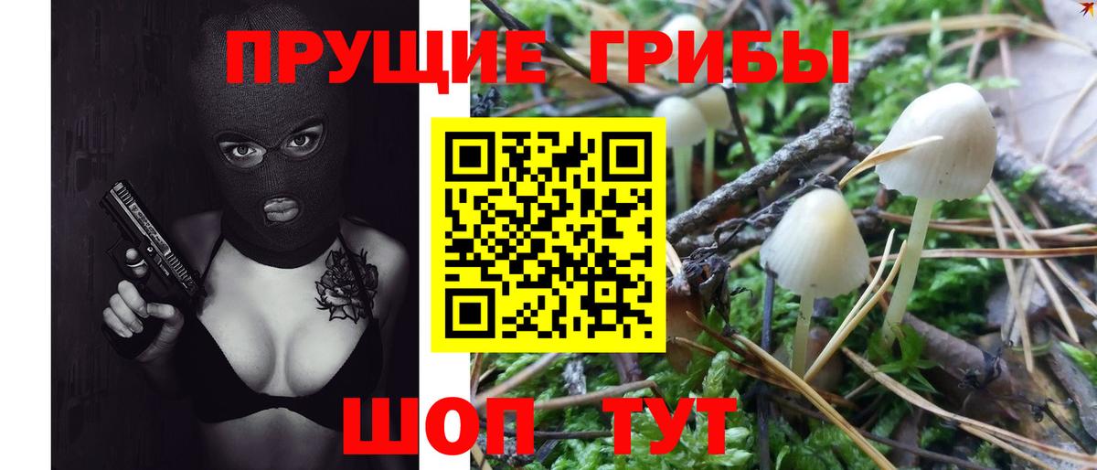 Петрозаводск  хочу   Псилоцибиновые грибы Magic Shrooms  Вход с VPN  Галлюциногенные грибы MAGIC MUSHROOMS 